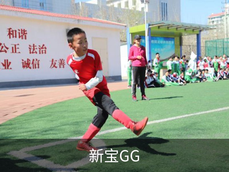 新宝GG(中国)官方网站